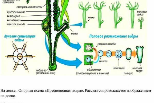 Кракен даркнет kraken014 com